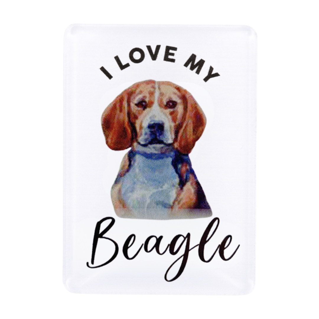 Splosh - Pet Magnet - Beagle