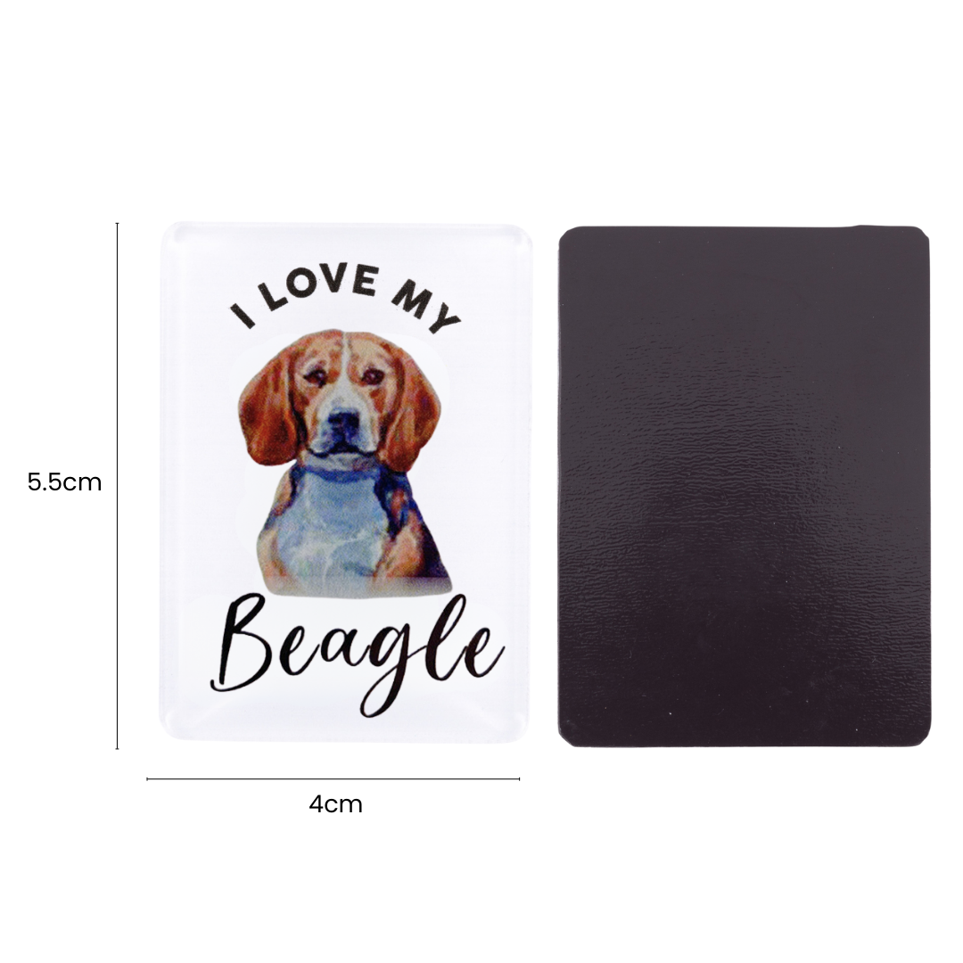 Splosh - Pet Magnet - Beagle