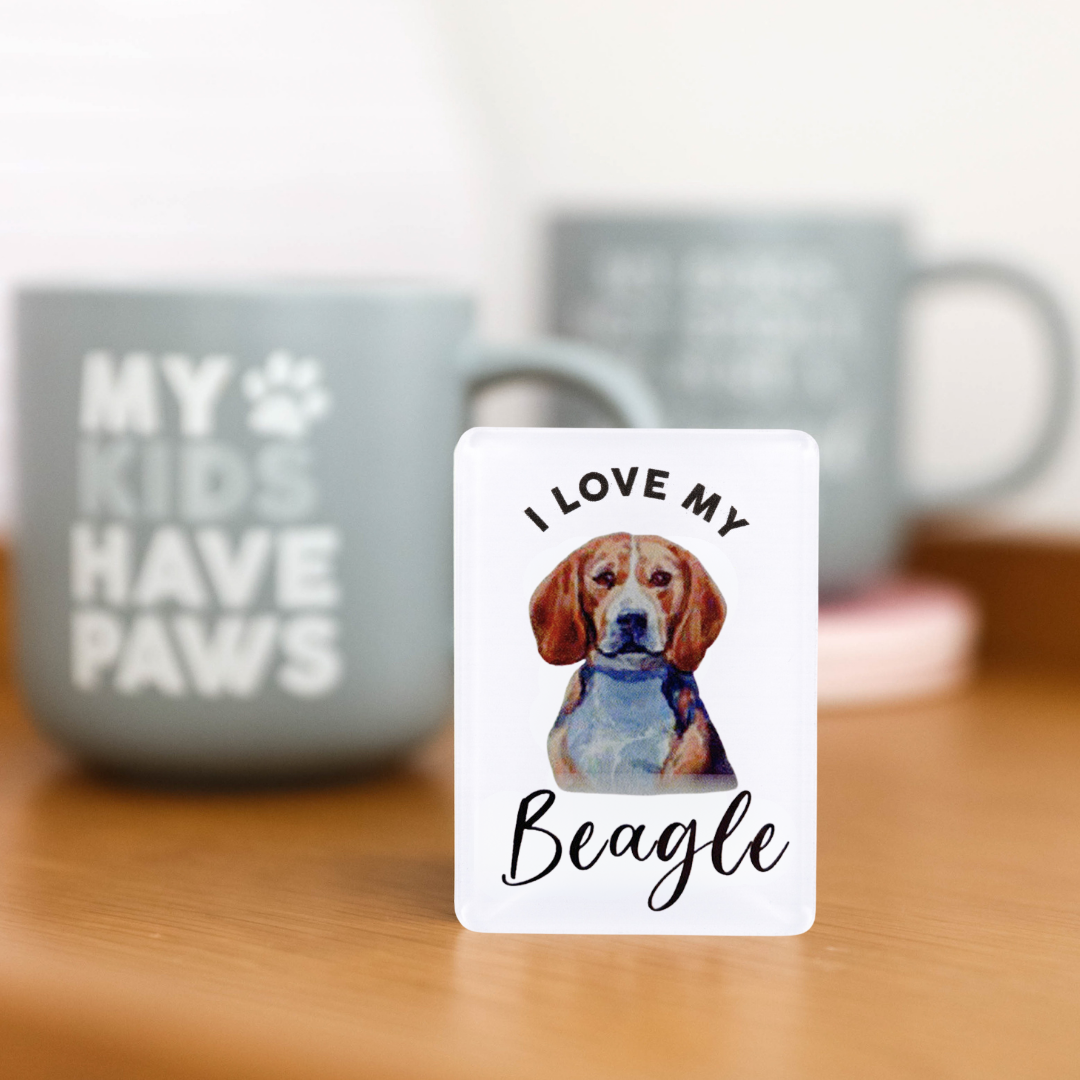 Splosh - Pet Magnet - Beagle