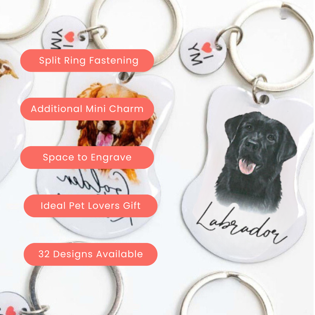 Splosh Pet Keyring - Black Labrador