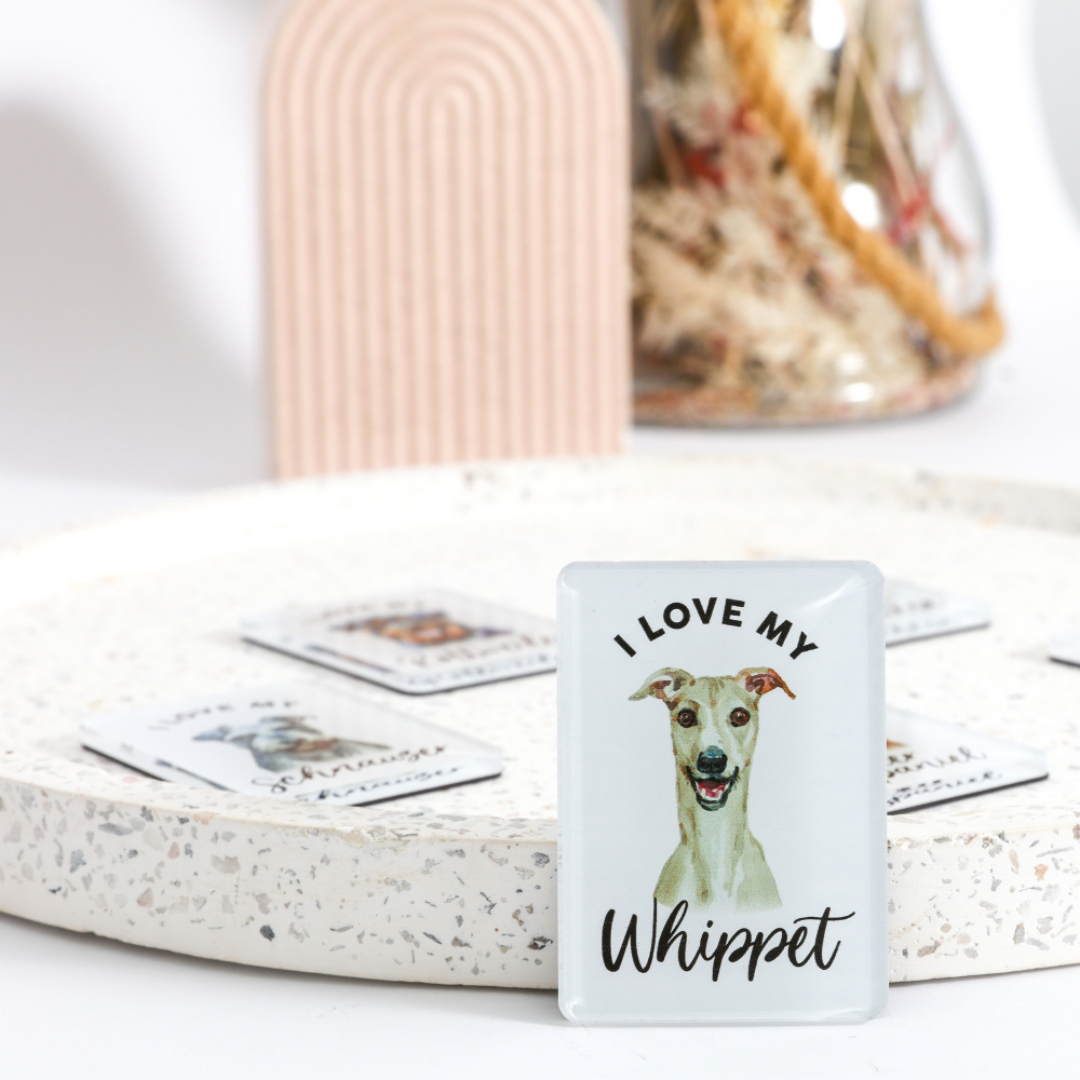 Splosh - Pet Magnet - Whippet