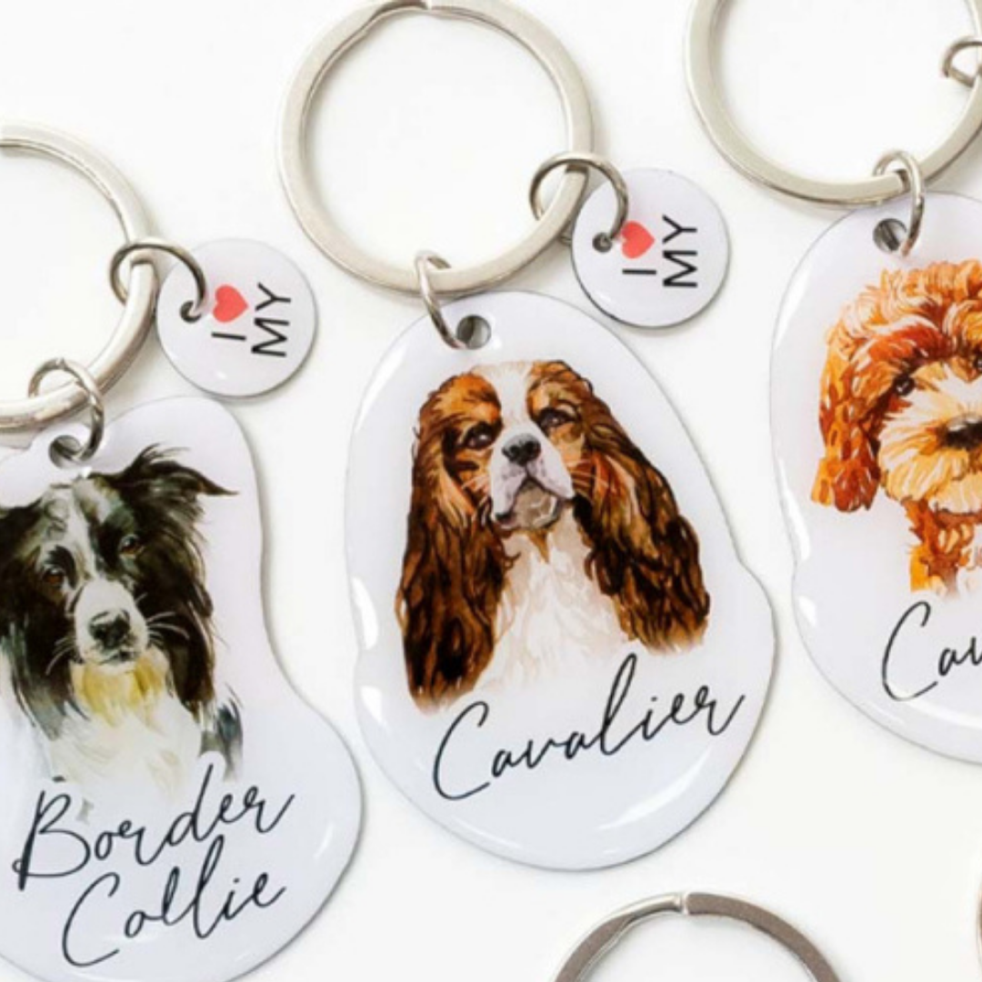 Splosh Pet Keyring - Cavalier