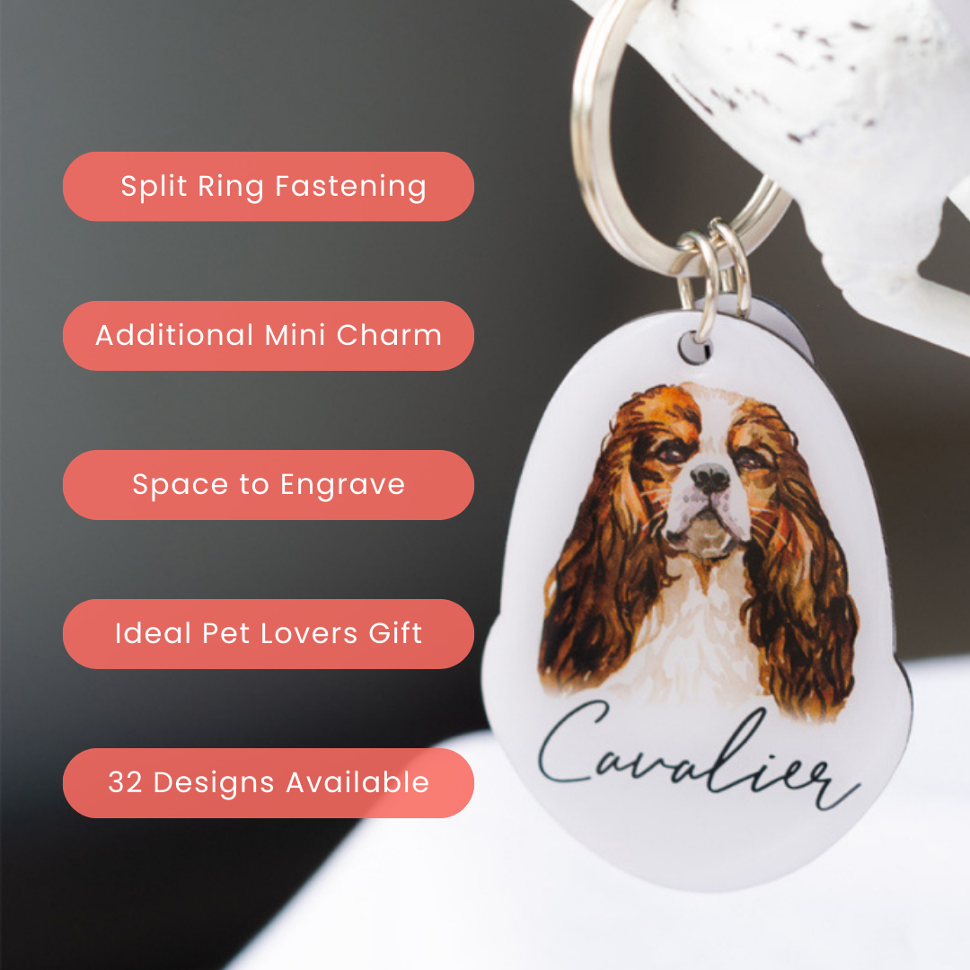 Splosh Pet Keyring - Cavalier