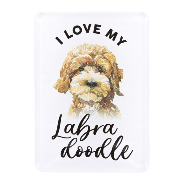 Splosh - Pet Magnet - Labradoodle