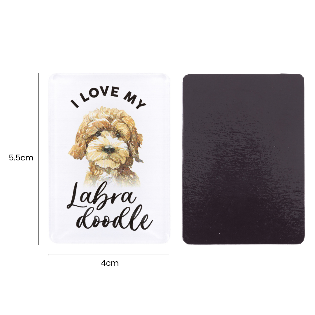 Splosh - Pet Magnet - Labradoodle