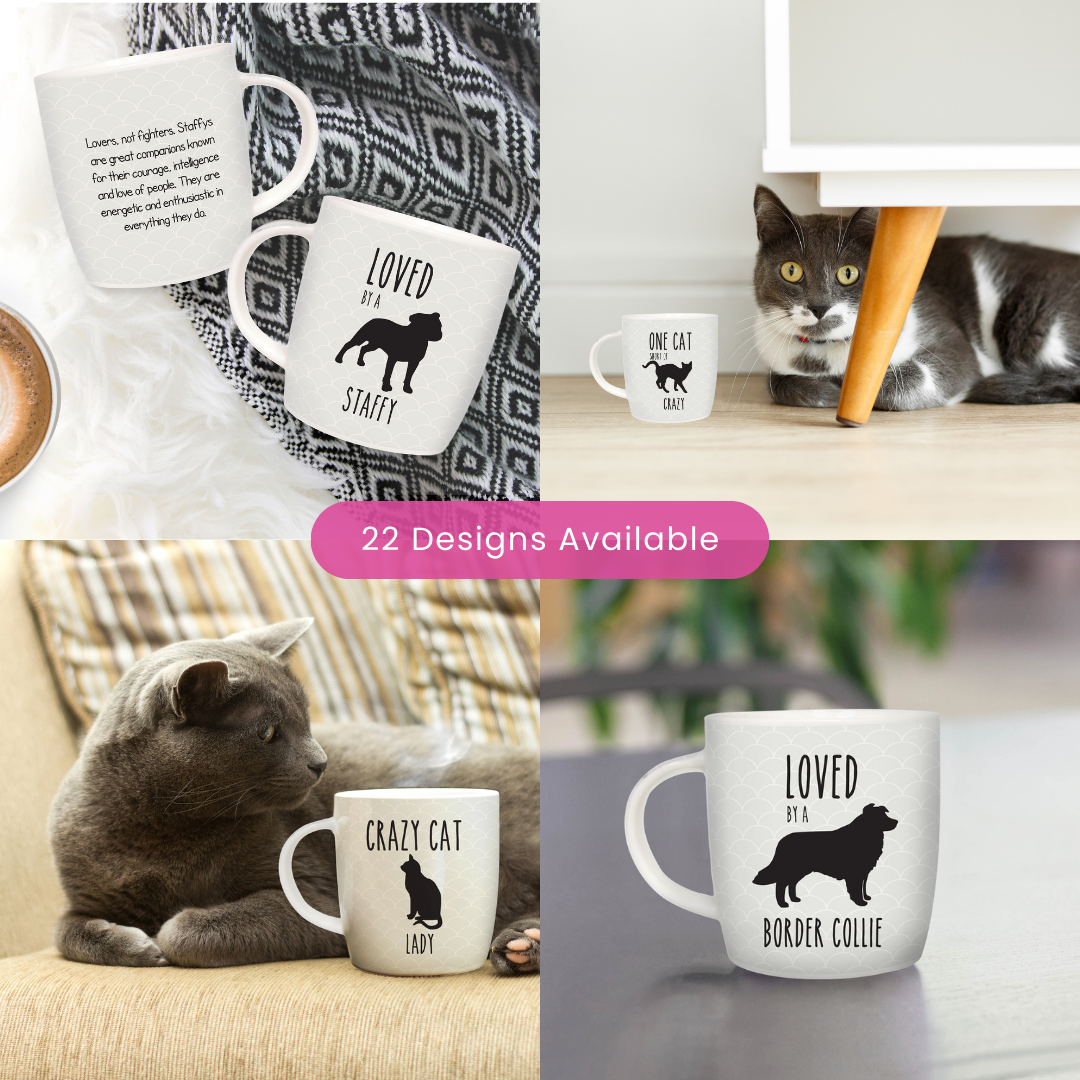 Splosh Pet Mugs - Crazy Cat Lady