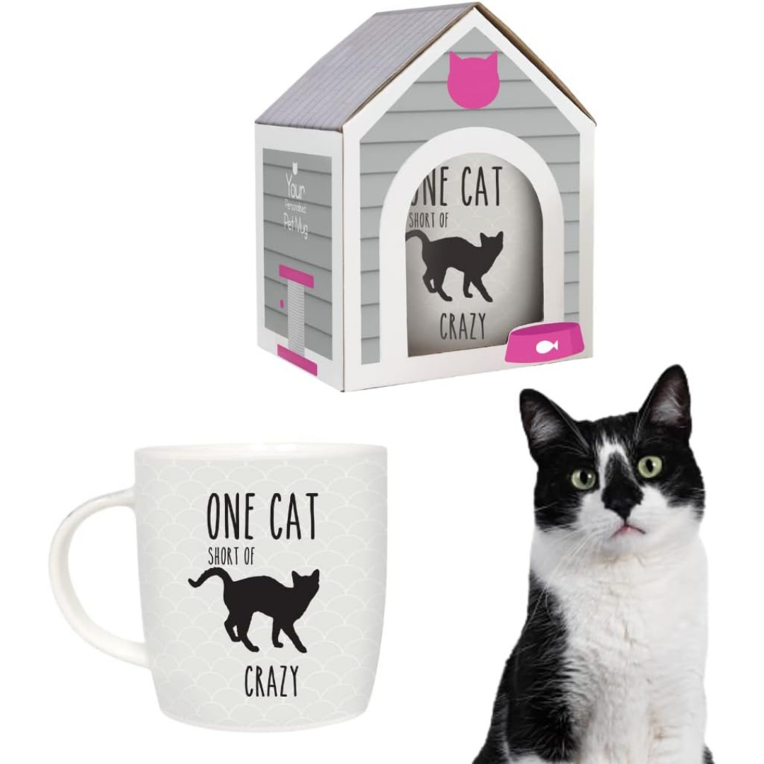 Splosh Pet Mugs - One Cat Short