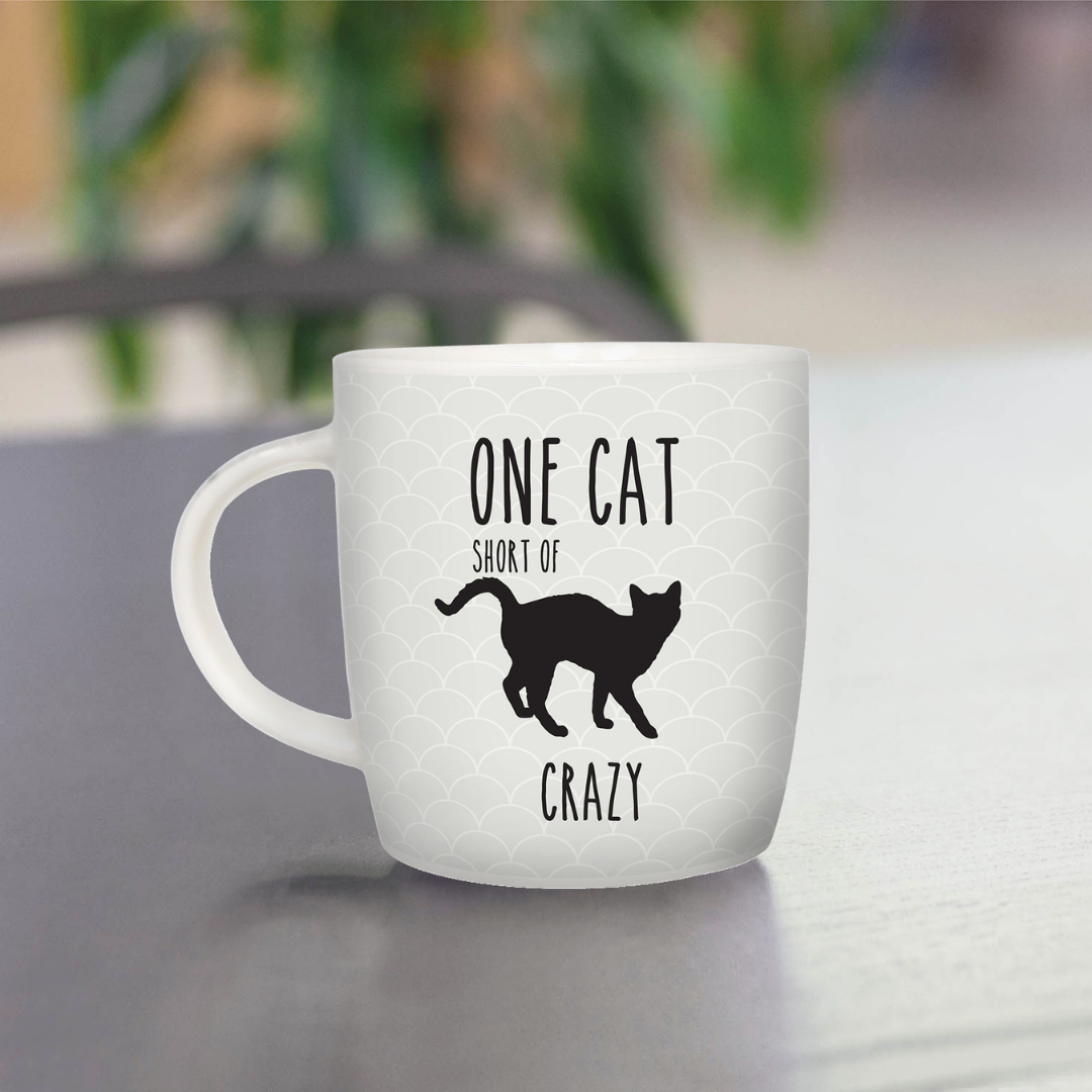 Splosh Pet Mugs - One Cat Short