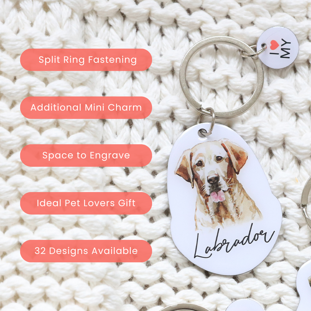 Splosh Pet Keyring - Labrador