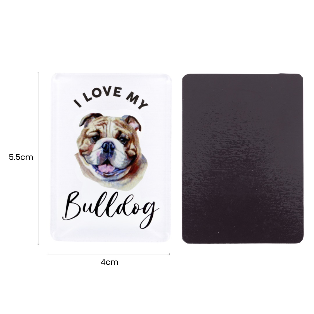 Splosh - Pet Magnet - Bulldog