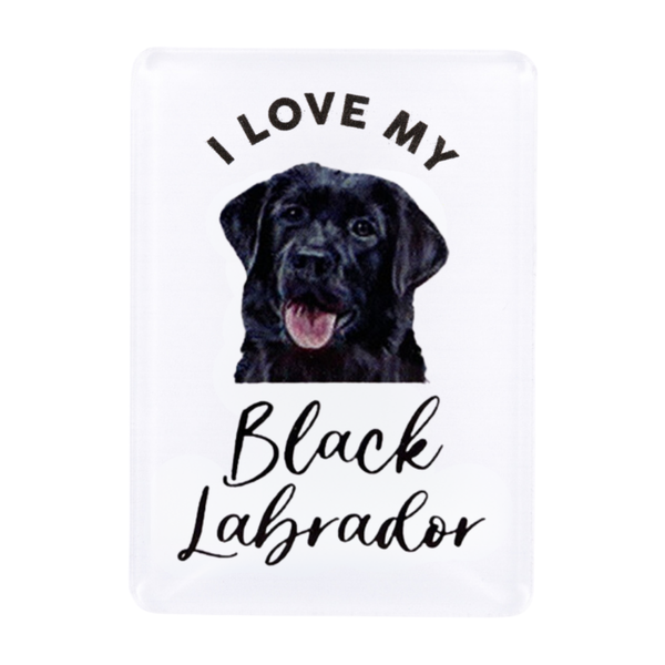 Splosh - Pet Magnet - Black Labrador