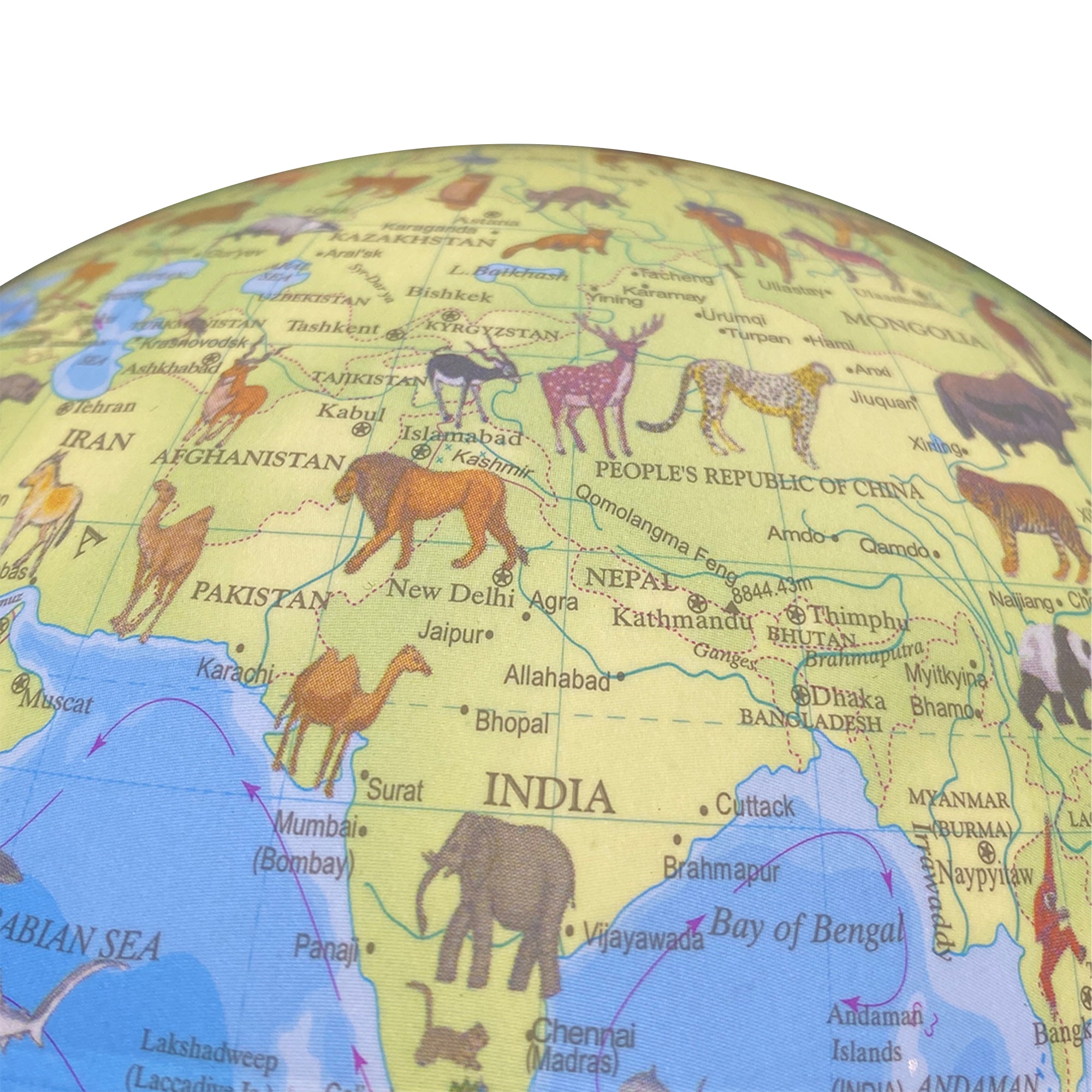 Gleneagles Travel Globe - Animal Cartoon 20cm