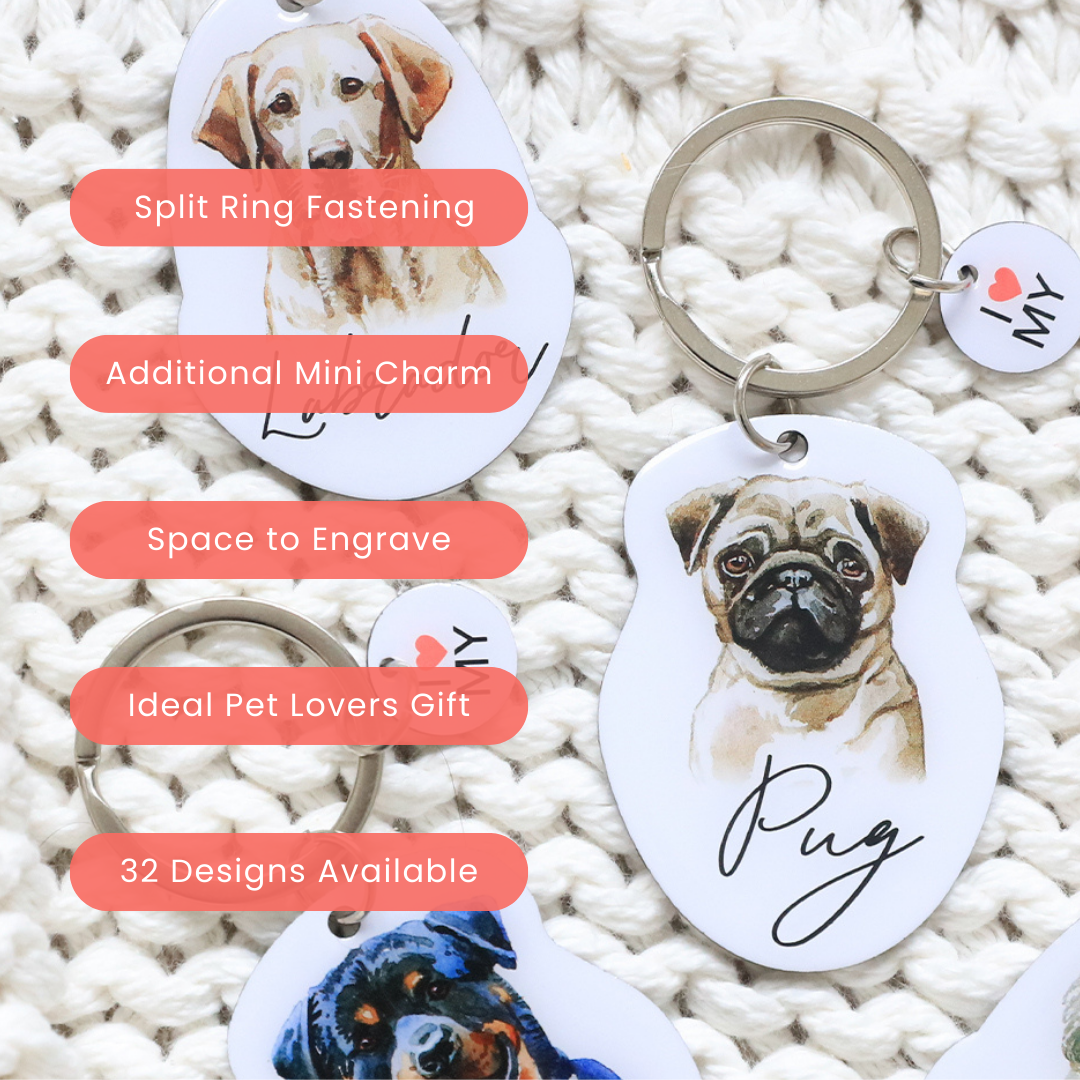 Splosh Pet Keyring - Pug