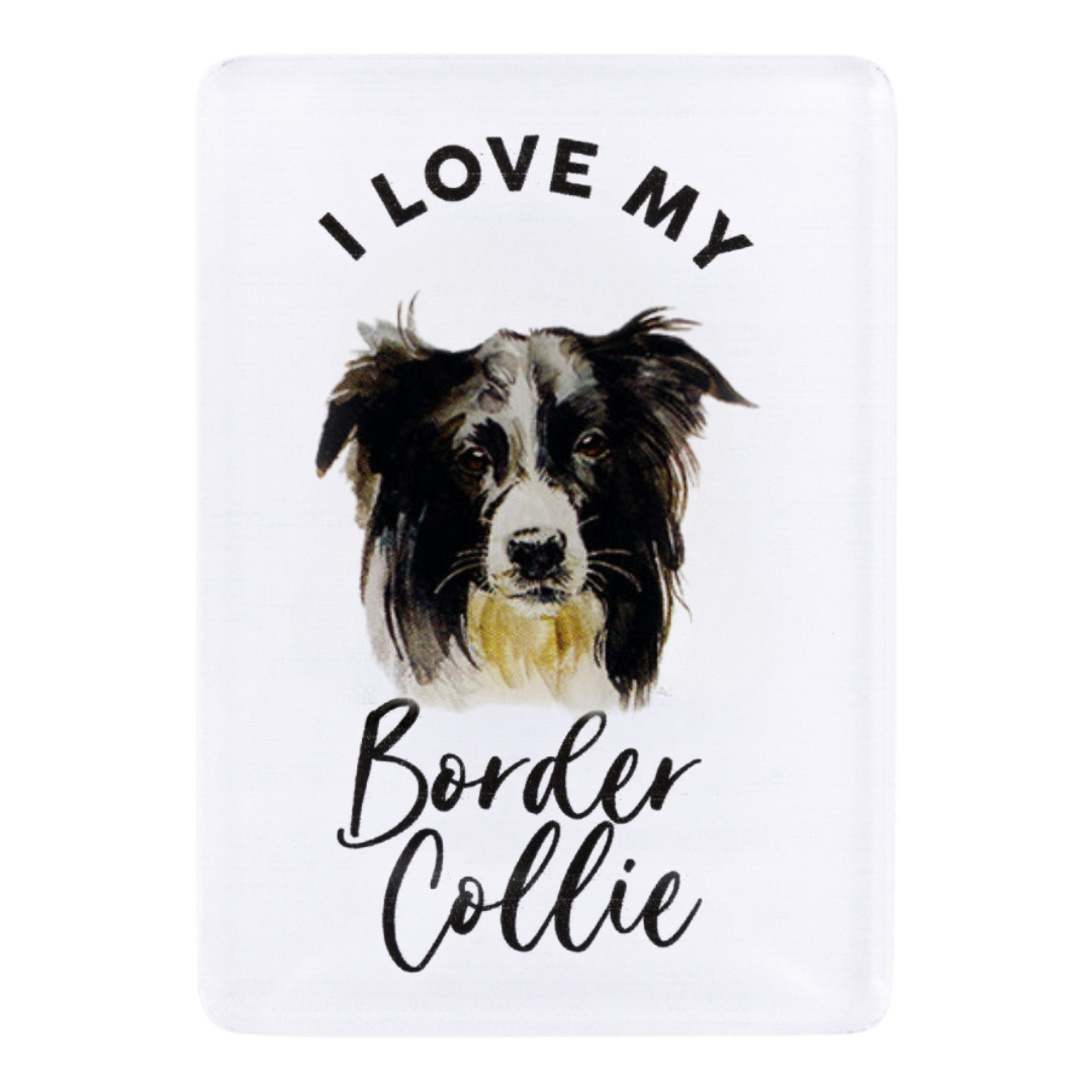 Splosh - Pet Magnet - Border Collie