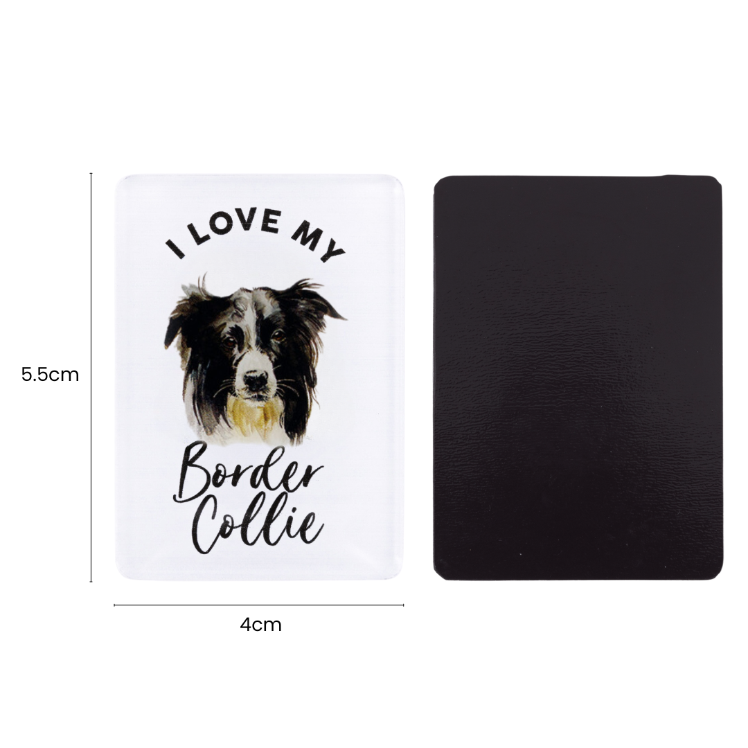 Splosh - Pet Magnet - Border Collie