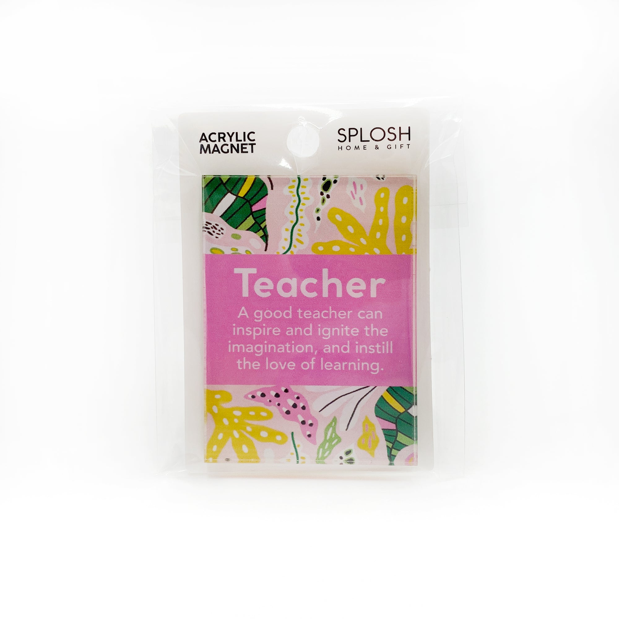 Splosh - Meaningful Magnet  - Teacher