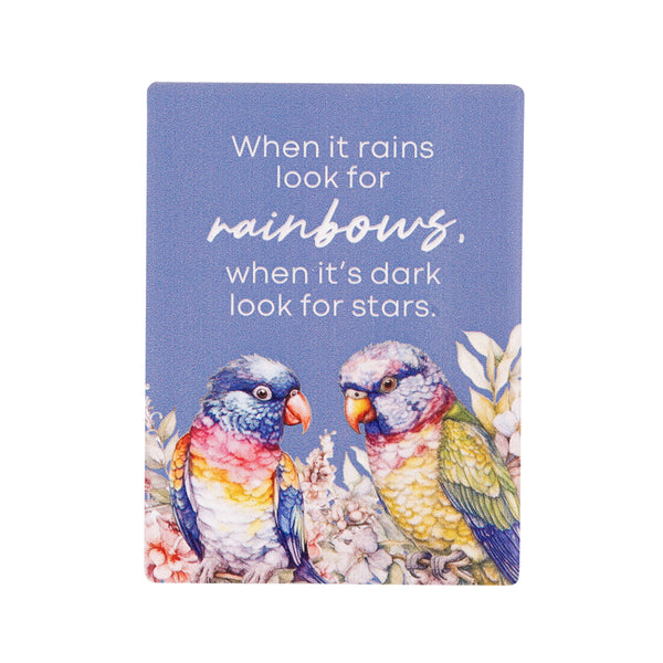 Splosh - Native Blooms Ceramic Magnet - Rainbows