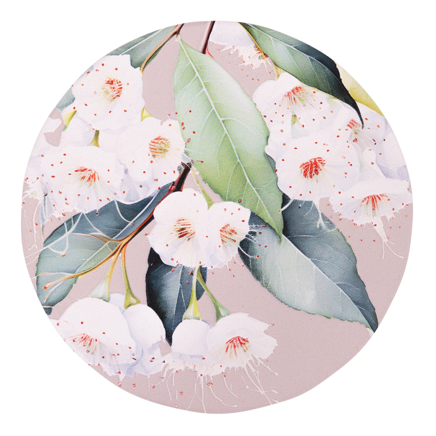 Splosh - Native Blooms Ceramic Coaster - White Floral