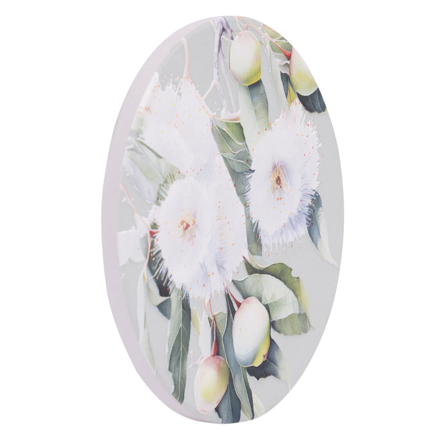 Splosh - Native Blooms Ceramic Coaster - Gumnuts