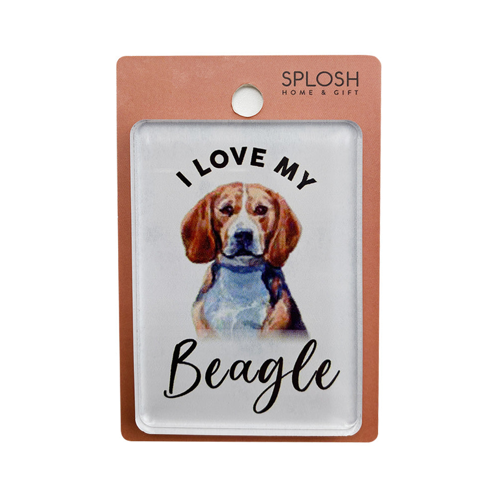 Splosh - Pet Magnet - Beagle