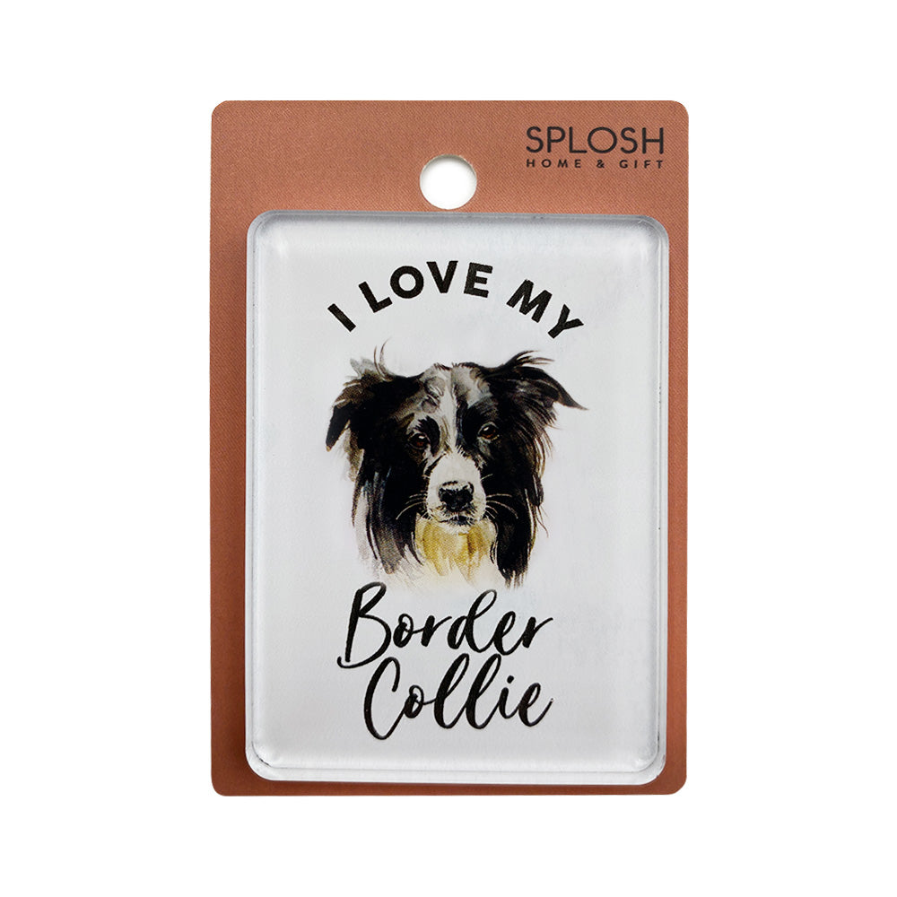 Splosh - Pet Magnet - Border Collie