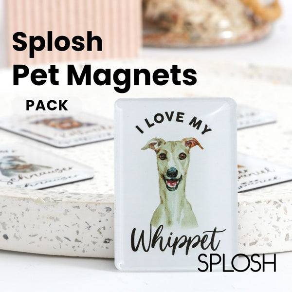 Splosh - Pet Magnets Pack